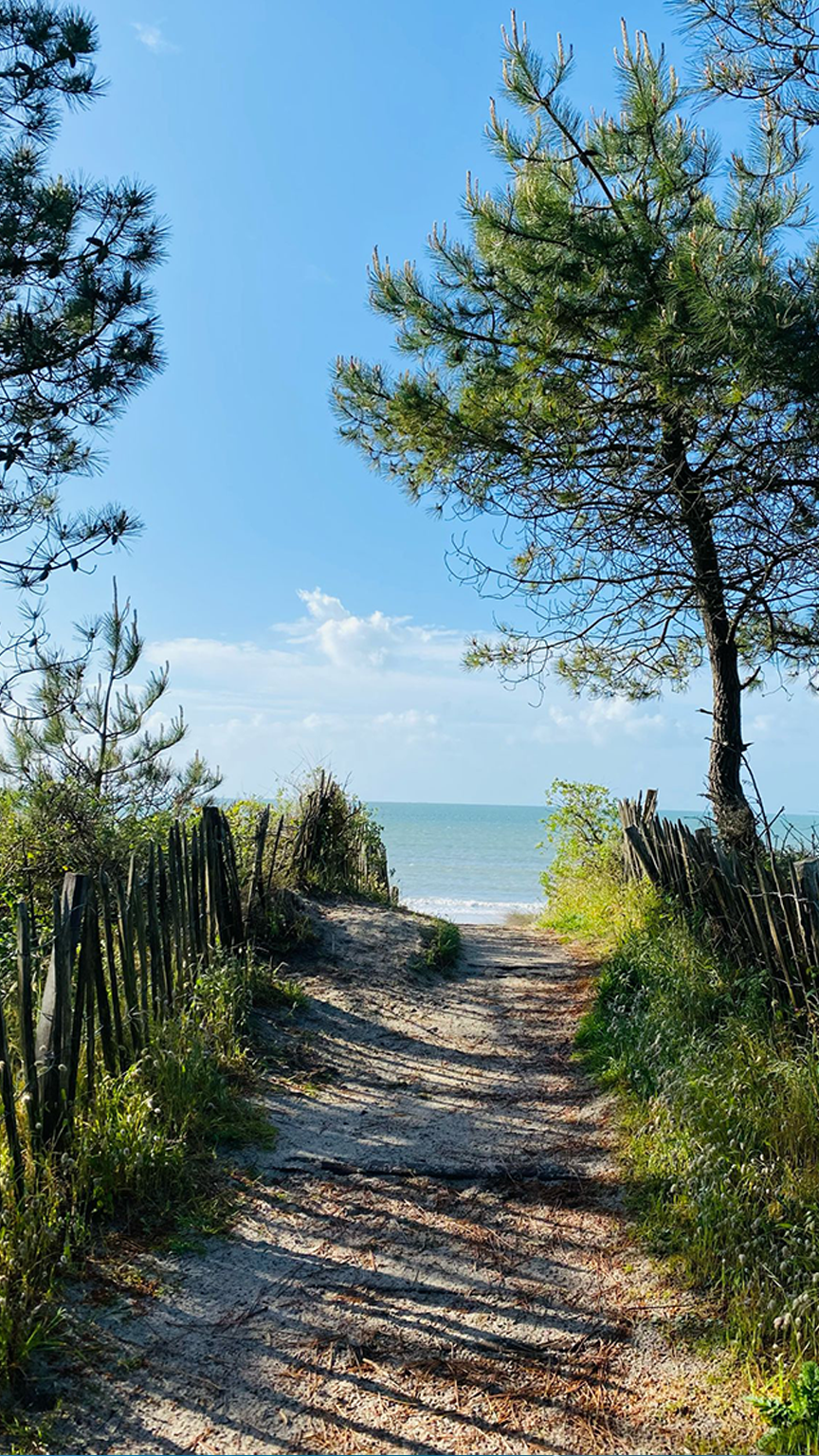 plage_sainte_marine